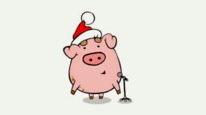 pigxmas